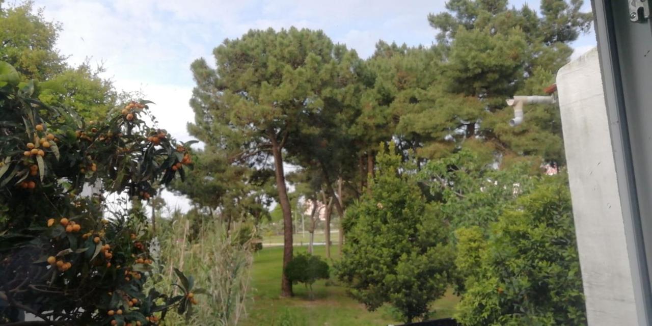 קורויוס Guesthouse Marialva Park מראה חיצוני תמונה